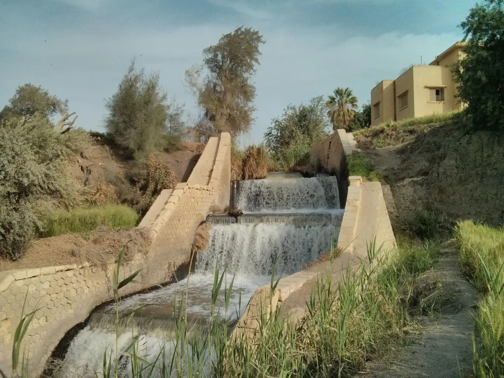 Wadi Al Hitan Tour