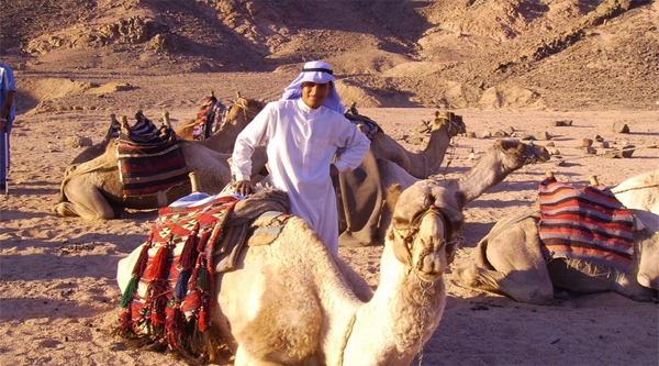 Bedouin Night Excursion | Camel Ride, Bedouin Dinner & Show